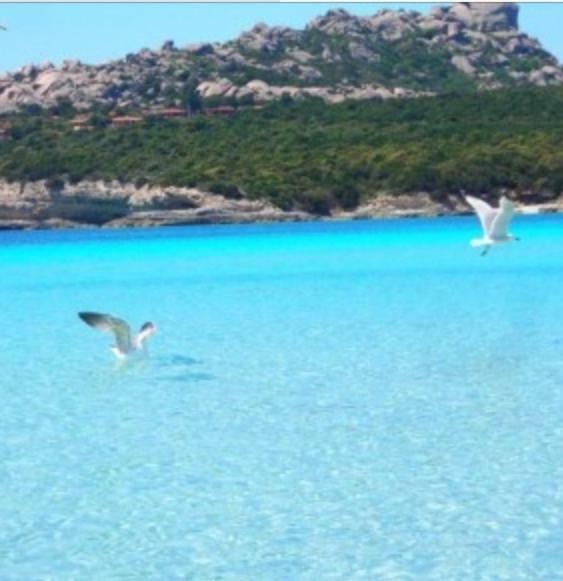 Gg Luxury Apartments - Santa Teresa Di Gallura 외부 사진